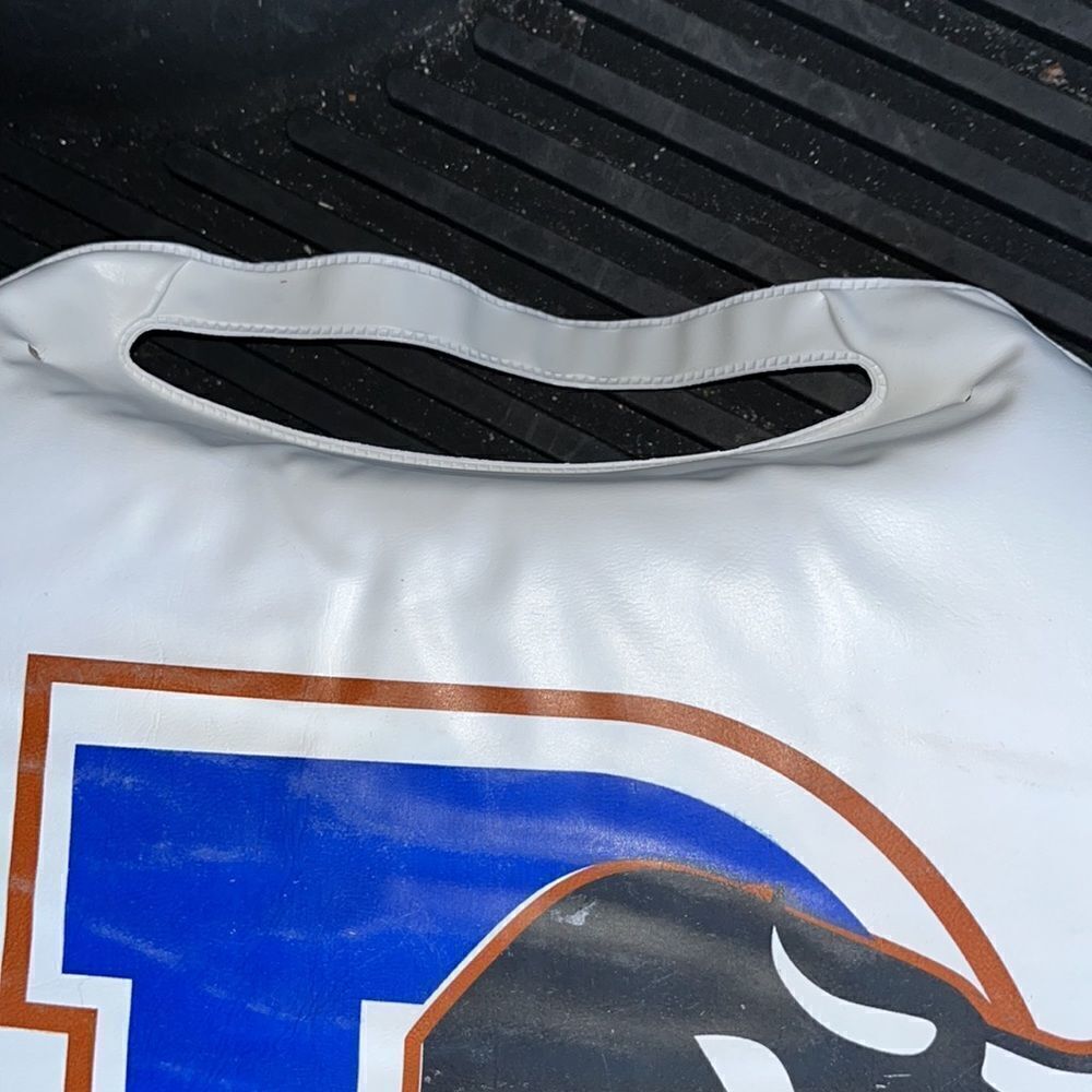 sga Bull Durham Bulls white Baseball print seat carry handles cushion - Picture 2 of 3